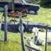 Farm Family