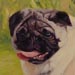 Lola
