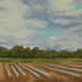 Early Planting, 30 x 40
