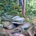 DSC 0027